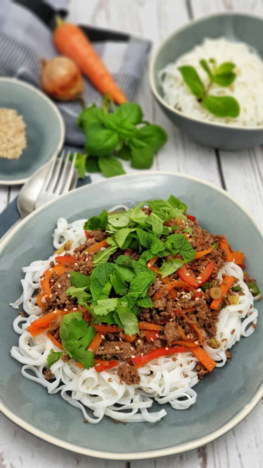 Asiatische Reisnudeln Mit Hackfleisch Lydiasfoodblog